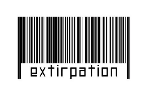 Digitalization concept. Barcode of black horizontal lines with inscription ex Stock-Illustration