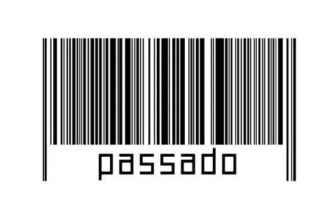 Digitalization concept. Barcode of black horizontal lines with inscription pa Stock Illustration