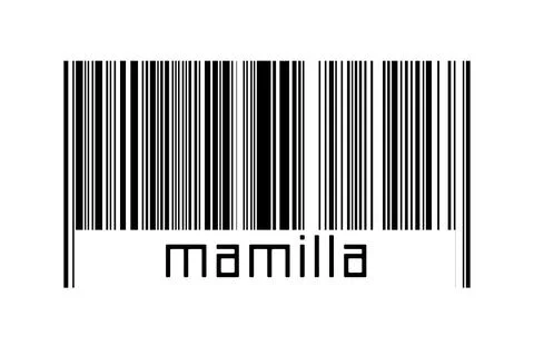 Digitalization concept. Barcode of black horizontal lines with inscription ma Illustrazione stock