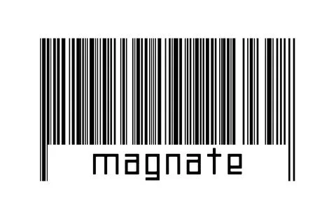 Digitalization concept. Barcode of black horizontal lines with inscription ma 스톡 일러스트