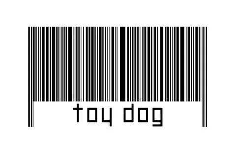Digitalization concept. Barcode of black horizontal lines with inscription to Stock Illustration