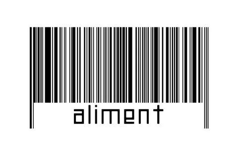 Digitalization concept. Barcode of black horizontal lines with inscription al 스톡 일러스트