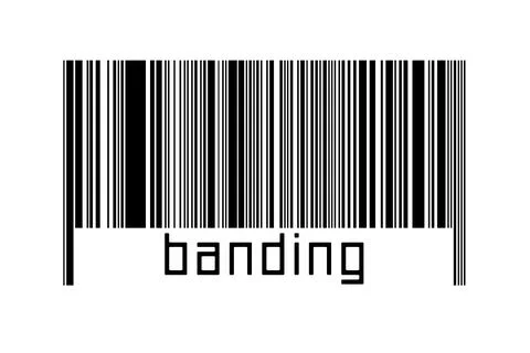 Digitalization concept. Barcode of black horizontal lines with inscription ba 스톡 일러스트