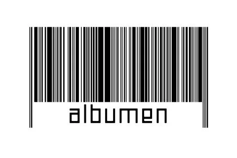 Digitalization concept. Barcode of black horizontal lines with inscription al 库存插图