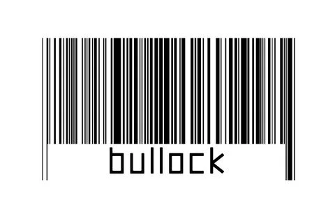 Digitalization concept. Barcode of black horizontal lines with inscription bu Illustrazione stock