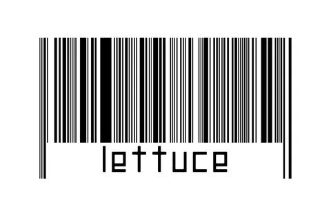 Digitalization concept. Barcode of black horizontal lines with inscription le Illustrazione stock