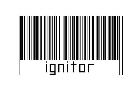 Digitalization concept. Barcode of black horizontal lines with inscription ig Illustrazione stock