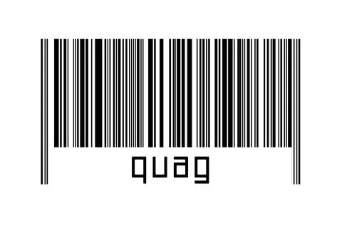 Digitalization concept. Barcode of black horizontal lines with inscription qu Illustrazione stock