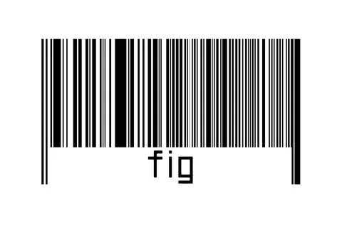 Digitalization concept. Barcode of black horizontal lines with inscription fi Stockillustratie