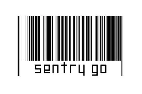 Digitalization concept. Barcode of black horizontal lines with inscription se Illustrazione stock