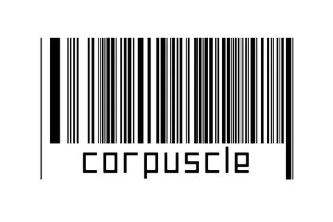 Digitalization concept. Barcode of black horizontal lines with inscription co Illustrazione stock