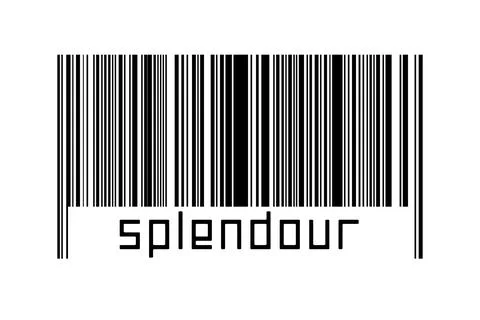 Digitalization concept. Barcode of black horizontal lines with inscription sp イラスト素材