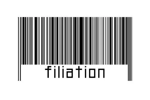 Digitalization concept. Barcode of black horizontal lines with inscription fi Illustrazione stock