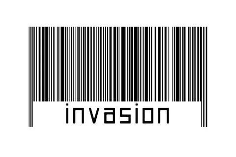 Digitalization concept. Barcode of black horizontal lines with inscription in Illustrazione stock