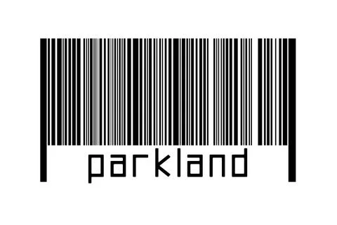 Digitalization concept. Barcode of black horizontal lines with inscription pa 스톡 일러스트