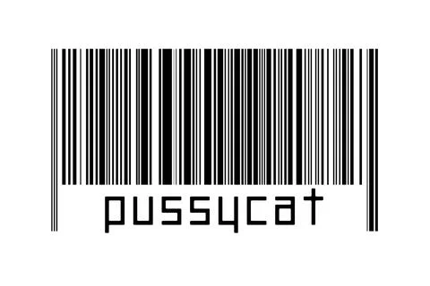 Digitalization concept. Barcode of black horizontal lines with inscription pu イラスト素材