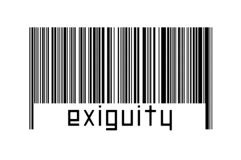 Digitalization concept. Barcode of black horizontal lines with inscription ex Illustrazione stock