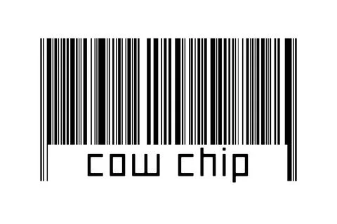 Digitalization concept. Barcode of black horizontal lines with inscription co Illustrazione stock