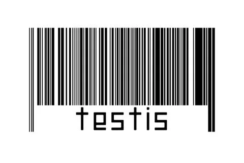 Digitalization concept. Barcode of black horizontal lines with inscription te Stock-Illustration