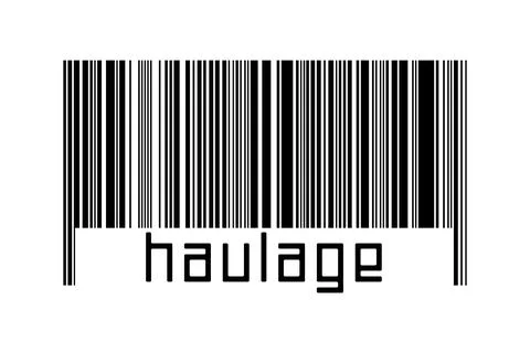 Digitalization concept. Barcode of black horizontal lines with inscription ha イラスト素材