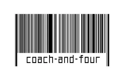 Digitalization concept. Barcode of black horizontal lines with inscription co Illustrazione stock