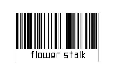 Digitalization concept. Barcode of black horizontal lines with inscription fl Illustrazione stock