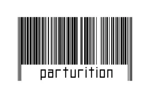 Digitalization concept. Barcode of black horizontal lines with inscription pa イラスト素材