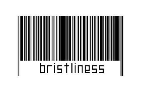 Digitalization concept. Barcode of black horizontal lines with inscription br Illustrazione stock