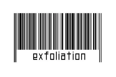 Digitalization concept. Barcode of black horizontal lines with inscription ex Illustrazione stock