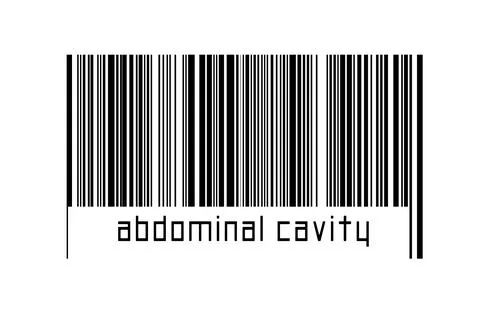 Digitalization concept. Barcode of black horizontal lines with inscription ab 스톡 일러스트