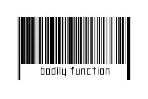 Digitalization concept. Barcode of black horizontal lines with inscription bo 스톡 일러스트