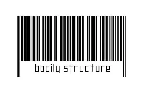 Digitalization concept. Barcode of black horizontal lines with inscription bo 스톡 일러스트
