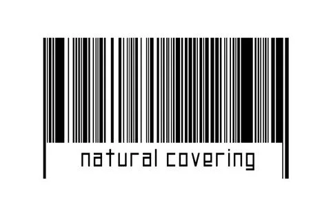 Digitalization concept. Barcode of black horizontal lines with inscription na イラスト素材