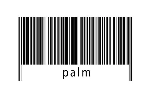 Digitalization concept. Barcode of black horizontal lines with inscription pa Illustrazione stock