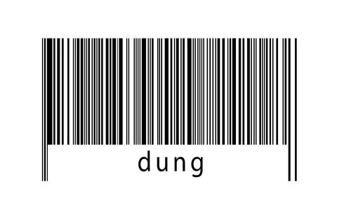 Digitalization concept. Barcode of black horizontal lines with inscription du イラスト素材