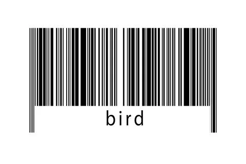 Digitalization concept. Barcode of black horizontal lines with inscription bi 스톡 일러스트