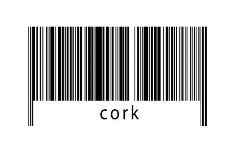 Digitalization concept. Barcode of black horizontal lines with inscription co Illustrazione stock