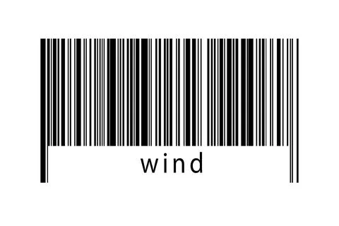 Digitalization concept. Barcode of black horizontal lines with inscription wi Illustrazione stock