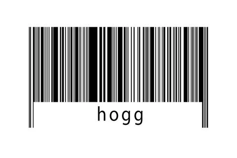 Digitalization concept. Barcode of black horizontal lines with inscription ho Stock Illustration