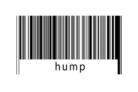 Digitalization concept. Barcode of black horizontal lines with inscription hu Illustrazione stock