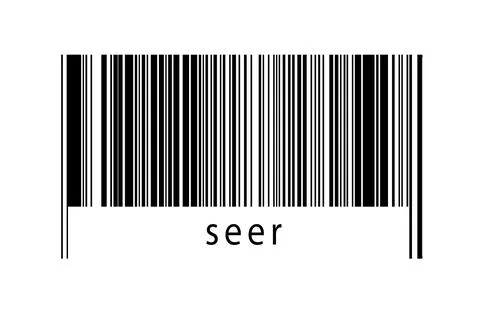 Digitalization concept. Barcode of black horizontal lines with inscription se 스톡 일러스트