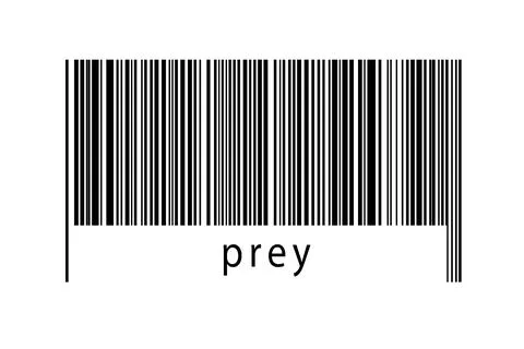 Digitalization concept. Barcode of black horizontal lines with inscription pr Illustrazione stock
