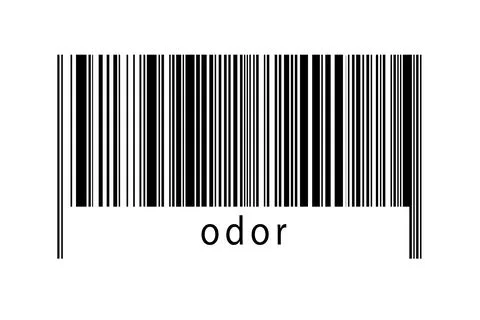 Digitalization concept. Barcode of black horizontal lines with inscription od 스톡 일러스트