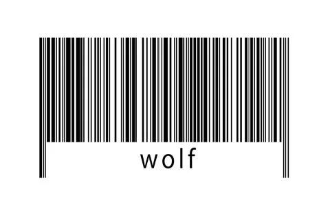 Digitalization concept. Barcode of black horizontal lines with inscription wo イラスト素材