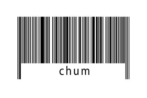 Digitalization concept. Barcode of black horizontal lines with inscription ch Stock Illustration