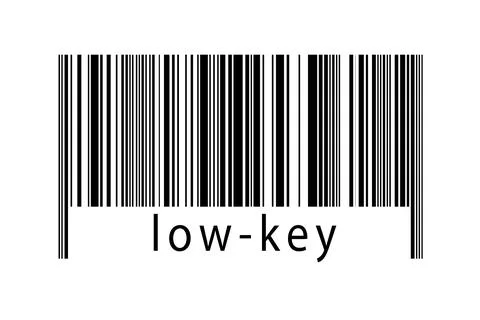 Digitalization concept. Barcode of black horizontal lines with inscription lo 库存插图