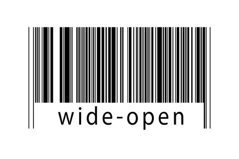 Digitalization concept. Barcode of black horizontal lines with inscription wi 스톡 일러스트