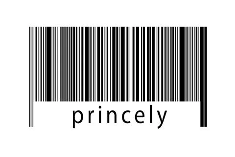 Digitalization concept. Barcode of black horizontal lines with inscription pr Illustrazione stock