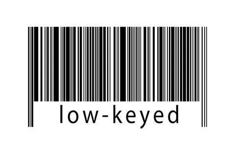 Digitalization concept. Barcode of black horizontal lines with inscription lo 库存插图