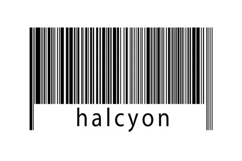 Digitalization concept. Barcode of black horizontal lines with inscription ha Stock Illustration